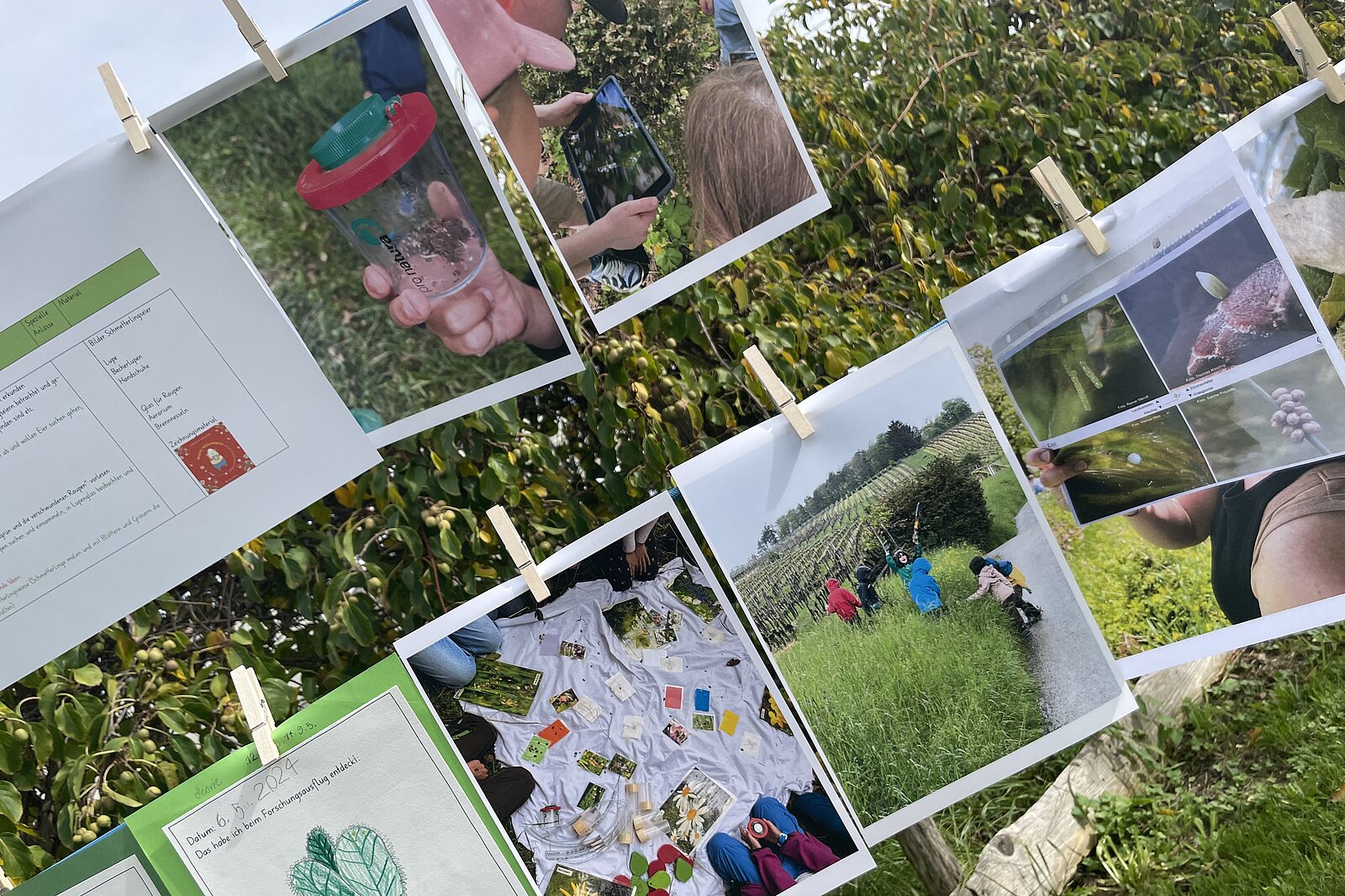 Gelungene Projektpräsentationen im Rahmen der Zusatzqualifikation «Draussen unterrichten»