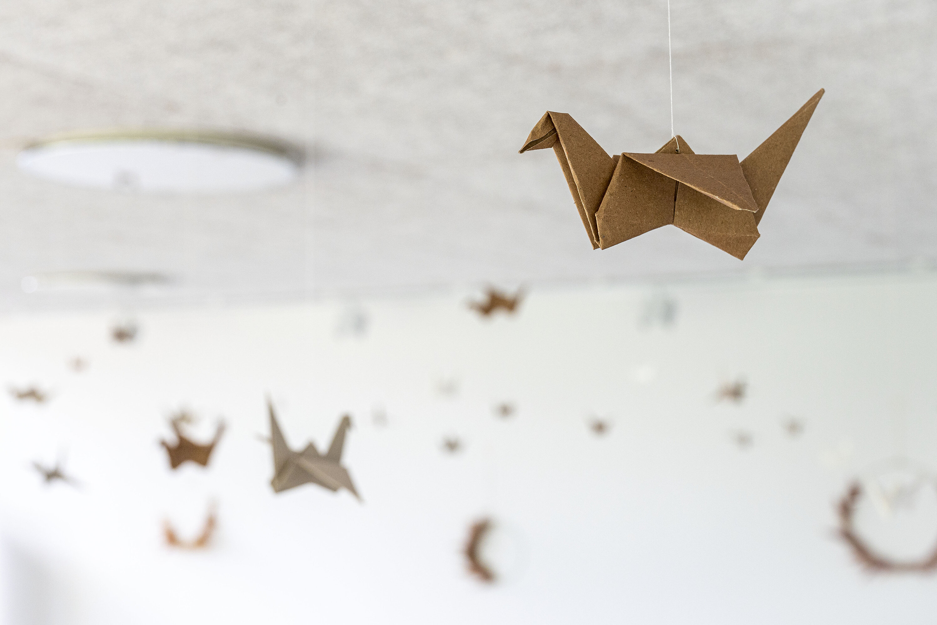 Gefaltete Kraniche als Dekoration